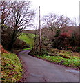 Llanerch Lane from Trinant towards Upper Llanerch