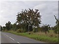 Footpath signpost at Naunton Beauchamp