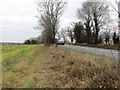 The boundary between field and road (A41) at Buttermilk Hill