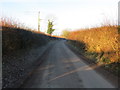 Enclosed lane near Wykey Farm