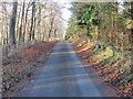 SJ3524 : Lane from Elbridge to Weirbrook near Heath Mills by Peter Wood