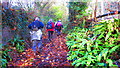 Old trackway up to Cheddar Wood