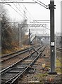 Tram lines, Altrincham