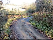 SJ3639 : Road with Bridge over Shell Brook near Pentre Farm by Peter Wood