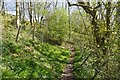 Path, Asby Gill