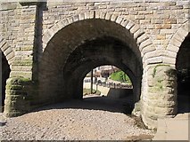 SE4048 : Dry arch of Wetherby Bridge by Stephen Craven