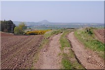 NT5777 : Farm track near East Linton by Richard Webb
