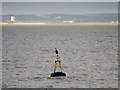 SD2502 : Liverpool Bay, Crosby Channel Cardinal Marker C11 by David Dixon