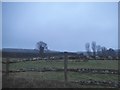 Fields by Old Soar Road, Plaxtol