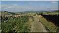 Hayfield - View N along trackway off Highgate Rd