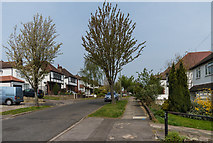 TQ4667 : Archer Road by Ian Capper