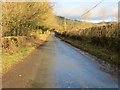 Road near Llangedwyn Home Farm