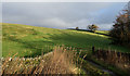 Grassy slope of field near to Moor Head