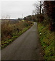 Unclassified road at the northern end of Trinant