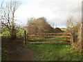 Gate on Common Lane, Royston