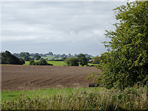 SJ5646 : Farmland north-east of Marbury in Cheshire by Roger  D Kidd