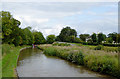 Llangollen Canal below Quoisley Lock in Cheshire