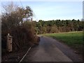 On Sherriffhales Common