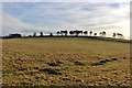 West flank of Strone Hill