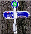 Loops + Links signpost detail, Pontywaun