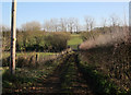 Footpath from Castle Cottages