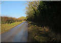 Road from Twite