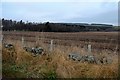 Arable land at Lundie