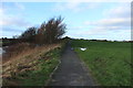 Riverside Footpath, Irvine