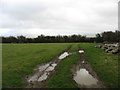 Field south of Llanddaniel Fab