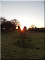 Stone row at Trellech