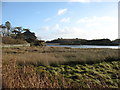 An inlet from Holyhead Bay