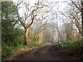 Green Lane approaching Heath Farm