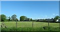 Farm buildings and pasture land overlooking the A29