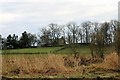 Cromleybank Fields