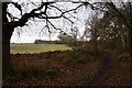 Bridlepath towards Bentley Manor