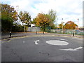 Mini-roundabout at the northern end of Sinope Street, Gloucester