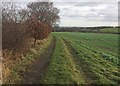 Bridleway from Ardsley