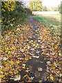 Leafy public footpath, Fulford, York