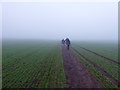 Footpath across a field near Bettisfield