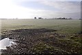 A frosty field