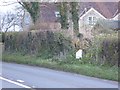 Milestone, Beard Hill, on A37