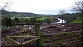 View over a bend in the Usk