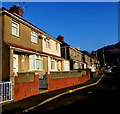 Tribute Avenue semis, Cwmcarn