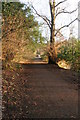 Path beside Kilmardinny Loch