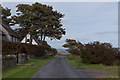 The Jura coast road at the north end of Craighouse