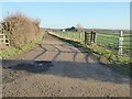 Farm road near Bredon Fruit Farm