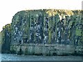 NU2522 : Gull Crag, Dunstanburgh by Alan Murray-Rust