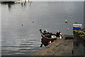 V9356 : Glengarriff Harbour:  Fisherman with boat by Dr Neil Clifton