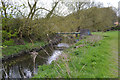 Pipe across the River Sowe, Whitley, southeast Coventry