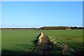 TL9365 : Footpath to Green Farm by John Myers